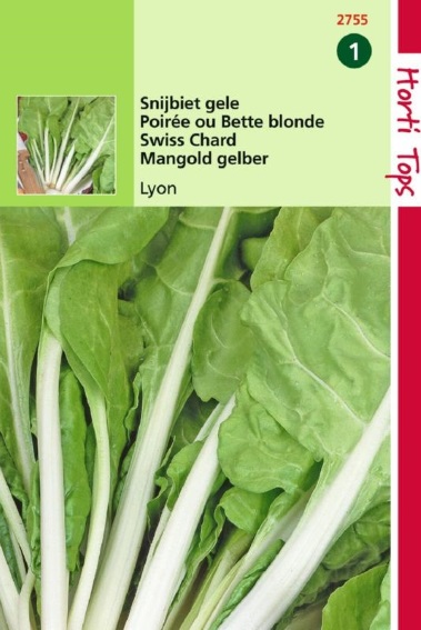 Swiss Chard Lyon 2 (Beta vulgaris) 400 seeds HT